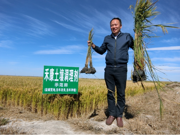 中国科学网报道我公司盐碱地改良手艺，问题为《盐碱地改良不再是天下难题》