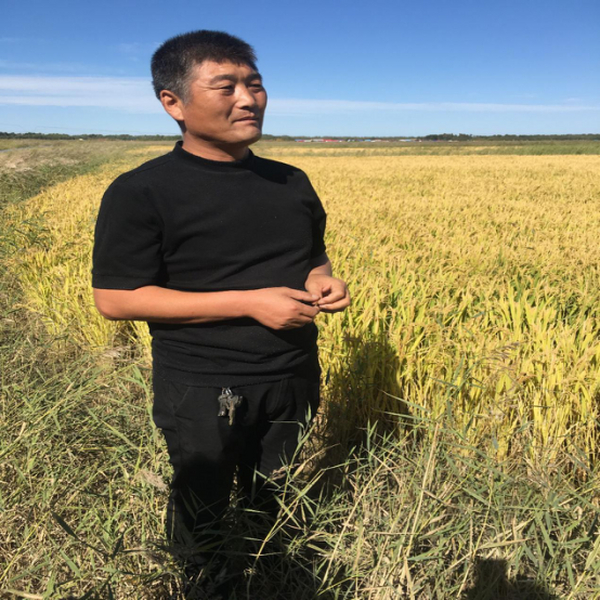 科技日报报道我公司盐碱地改良手艺