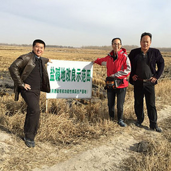 禾康不含有养分，可为什么盐碱地使用禾康改良后增产十分显著？