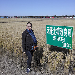 盐碱地莳植水稻昔时取得乐成—2014年吉林省镇赉县电视台新闻报道(图3)