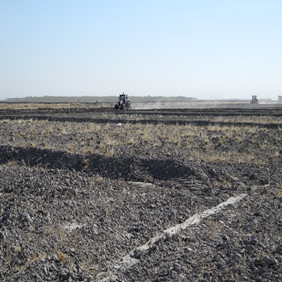 盐碱地改良莳植水稻—2012年吉林白城镇赉县盐碱地莳植水稻（拓荒、打井、插秧、生长和成熟全历程纪录）(图6)