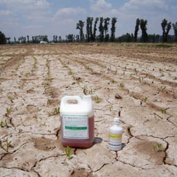 盐碱地使用禾康改良后，以后是否还需要继续使用禾康？