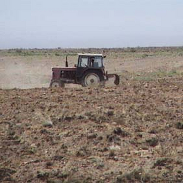 2005年新疆恰普其海水库移民盐碱改良项目