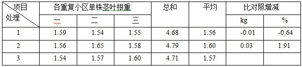 盐碱地莳植加工番茄施用禾康试验（新疆昌吉，番茄）(图6)