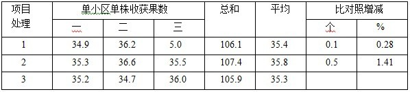 盐碱地莳植加工番茄施用禾康试验（新疆昌吉，番茄）(图5)