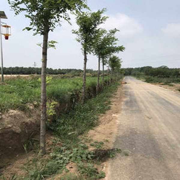 2004年3月，与东营市市政局、东营市公路局养护科告竣盐碱土壤改良剂供货协议