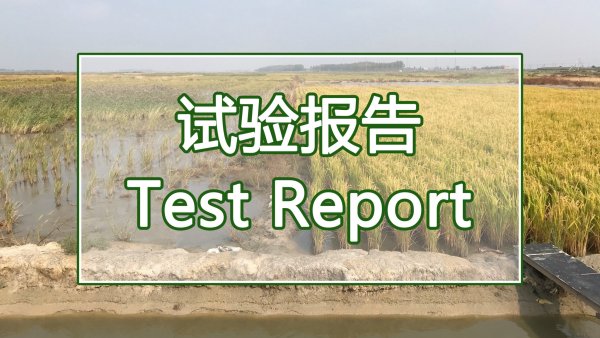 水稻施用禾康土壤调理剂效果试验（辽宁盘锦）