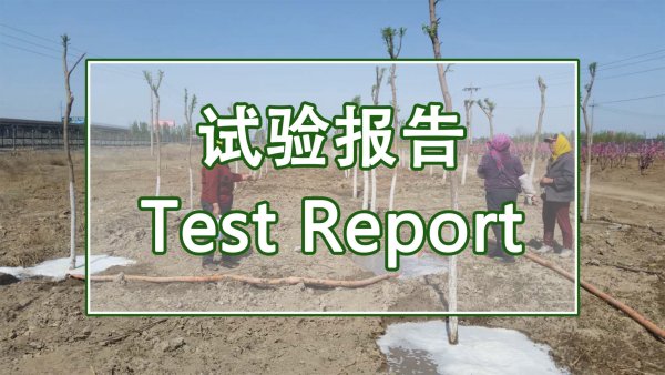 关于在盐碱地造林中鼎力大举推广禾康盐碱扫除剂的 (山东东营)