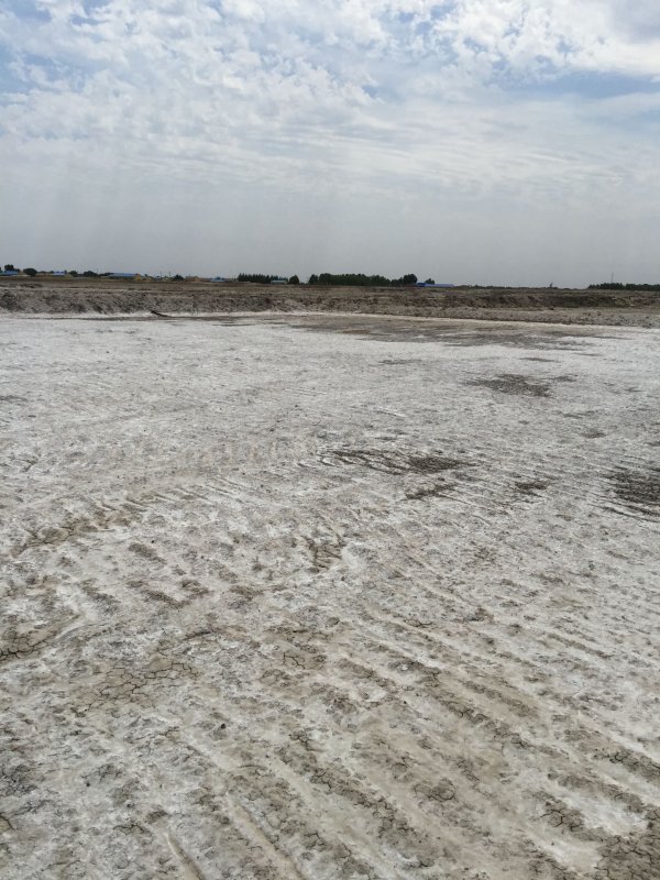 盐碱土壤改良要领和步伐许多，用户怎么选择？