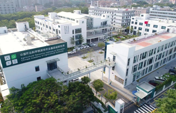 不误农时备春耕 新疆化肥企业开足马力生产