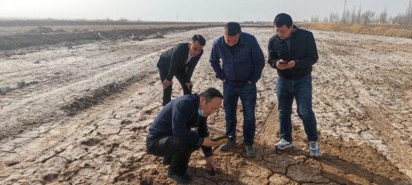 盐碱荒地改良、盐碱地绿化我们都有成熟的盐碱改良计划。